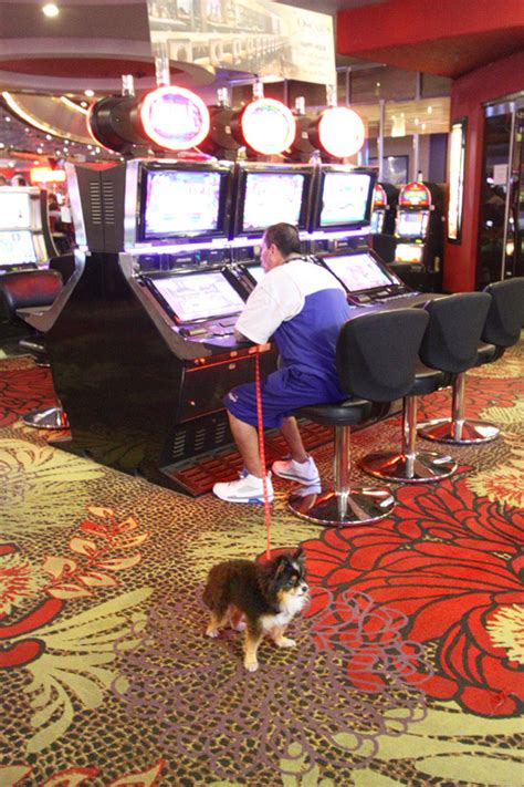 How to Find the Loosest Slots in a Las Vegas Casino, Guaranteed.